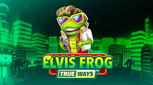 Elvis Frog in Vegas Slot - Evaluation of the Gambling Enterprise Video game 2026
